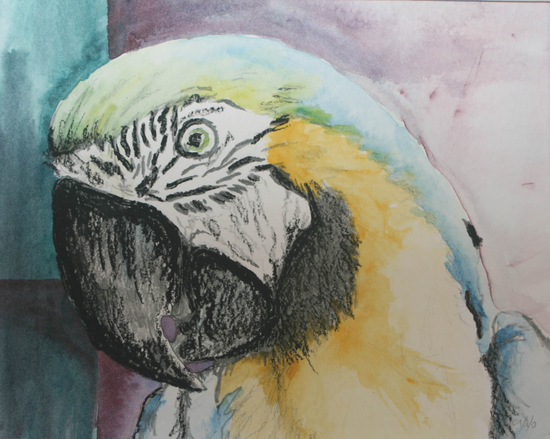 Mikki Macaw